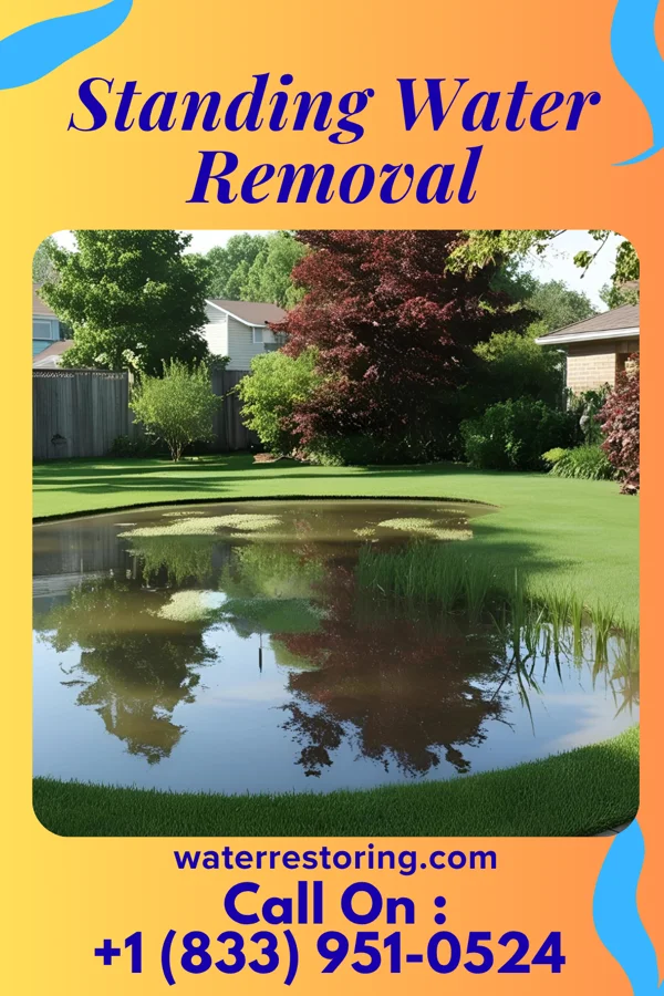 Standing Water Removal in Hampton, FL